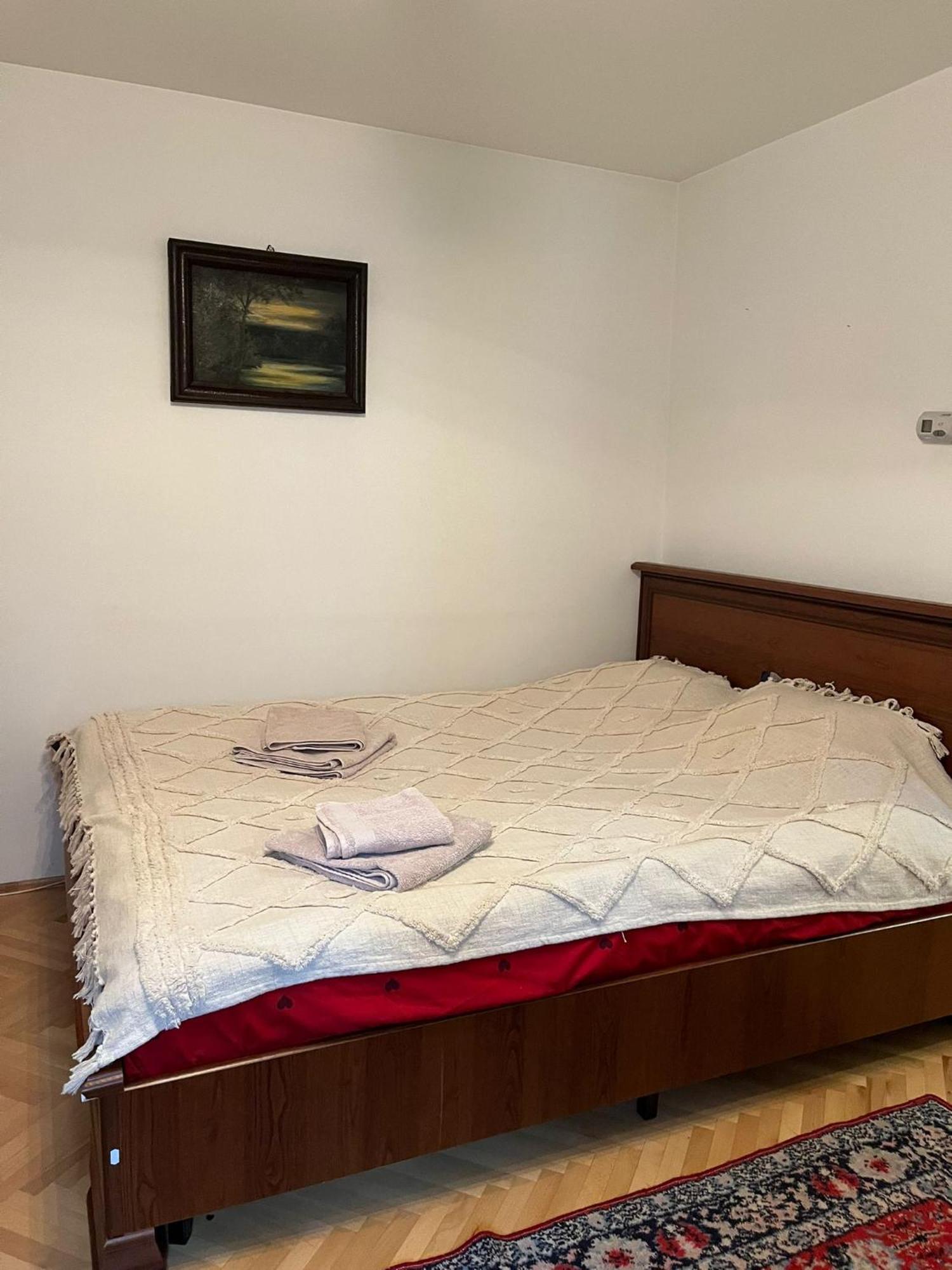 Emese Central Vintage Apartment Targu Mures Exterior foto