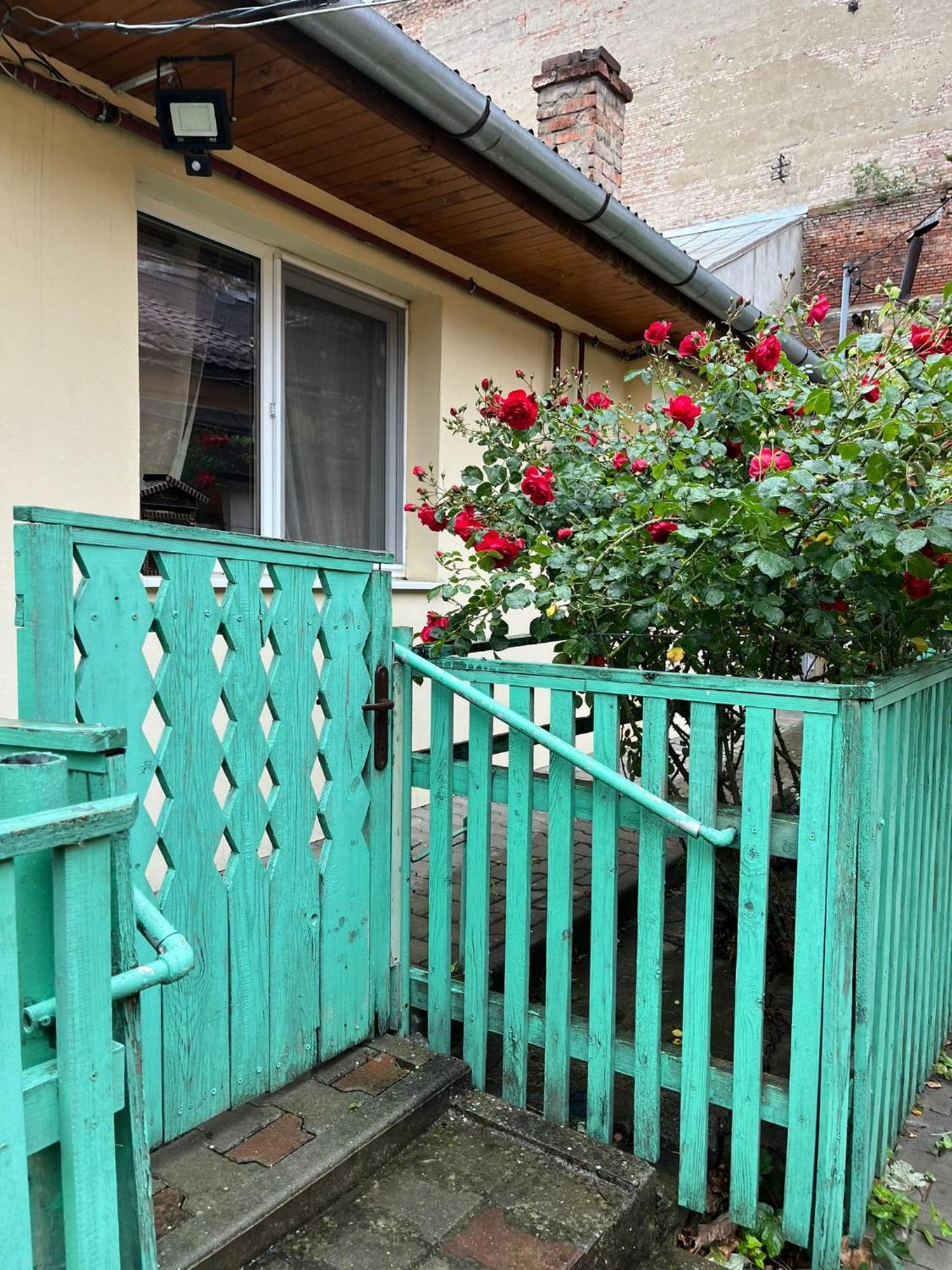 Emese Central Vintage Apartment Targu Mures Exterior foto
